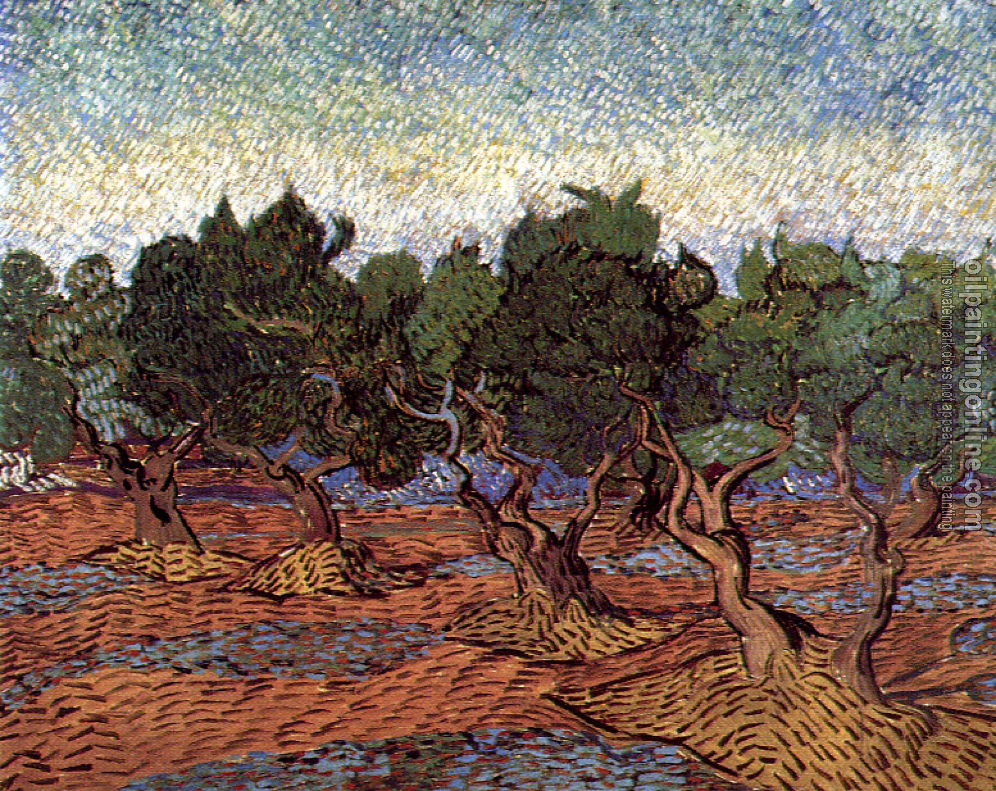 Gogh, Vincent van - Olive Orchard